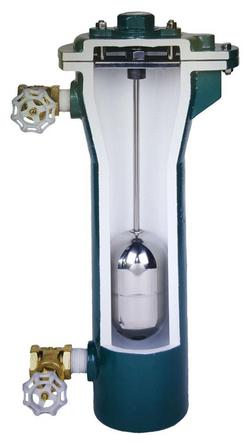 2 x 1 in. NPT Cast Iron 150 psig Air Release & Vacuum Valve