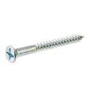 16 mm x 2 in. Painted Self-Drilling & Tapping Screw