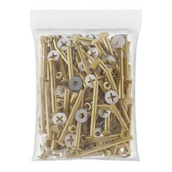 5/16 in. Closet Bolt Kit