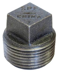 1 in. Threaded 300# Black Ductile Iron Plug