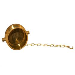 1-1/2 in. MNST Brass Plug with Chain