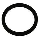 FPPI&reg; Swivel Nut Gasket 