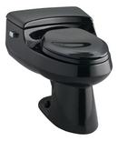1.0 gpf Elongated One Piece Toilet in Black Black™