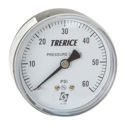 2-1/2 x 1/4 in. 100 psi Center Back Mount Pressure Gauge