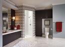 Delta Faucet Brilliance Stainless Wall Mount Toilet Tissue Holder 