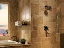 Delta Faucet Brilliance Stainless Single Handle Single Function Shower Faucet (Trim Only) 