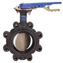NIBCO Ductile Iron Flanged EPDM Locking Lever Handle Butterfly Valve 