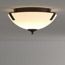 Progress Lighting Antique Bronze 100W 2-Light 120V Semi-flush Mount Ceiling Fixture 