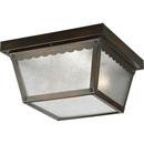 60W 2-Light Mount Fixture with Textured Glass in Antique Bronze
