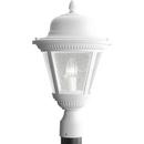 19 in. 2-Light Outdoor Post Lantern in White