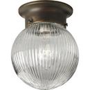 Progress Lighting Antique Bronze 6 in. Globe Ceiling Fixture with Prismatic Glass 