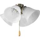 40W 4-Light Universal Fan Light Kit in Brushed Nickel