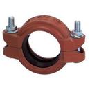 4 in. Painted Purple A LW Flex Coupling C-3 