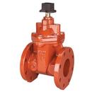 4 in. Flanged Ductile Iron Grooved NRS Resilient Wedge Gate Valve