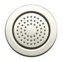KOHLER Vibrant Polished Nickel Single Function Body Spray 