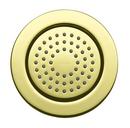 KOHLER Vibrant&reg; French Gold Single Function Body Spray 