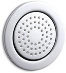 KOHLER Polished Chrome Single Function Body Spray 