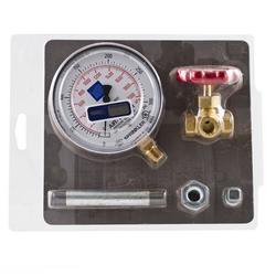 1/4 in. 300 psi IPS Brass Fire Sprinkler Air and Water Gauge Kit