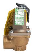 Laars Pressure Relief Valve 