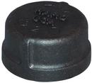 1/4 in. Threaded 150# Black Malleable Iron Cap