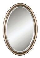31 x 21 in. Oval Mirror in Champagne Silver Leaf