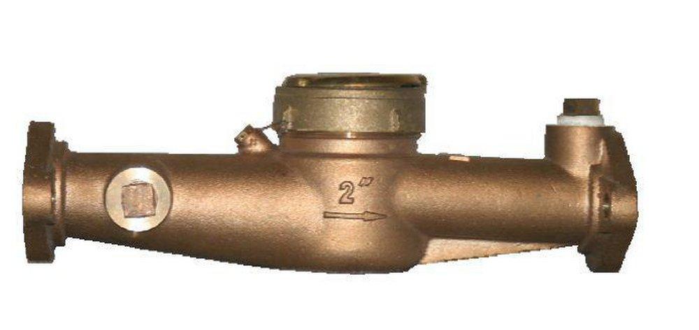 Infinity Metering 2 in. Mechanical Joint Brass Meter with Plastic Lid 