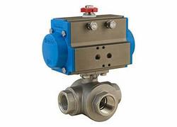 2 in. Stainless Steel Standard Port FNPT 1000# Ball Valve