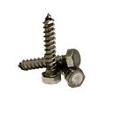 1/4 in. x 2 in. Hex Head Lag Screw