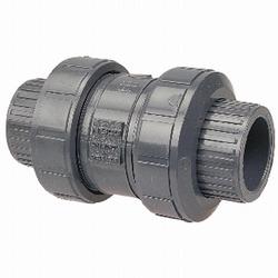 2 in. PVC Socket x Threaded Check Valve