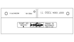 15 in. Undipped Trout