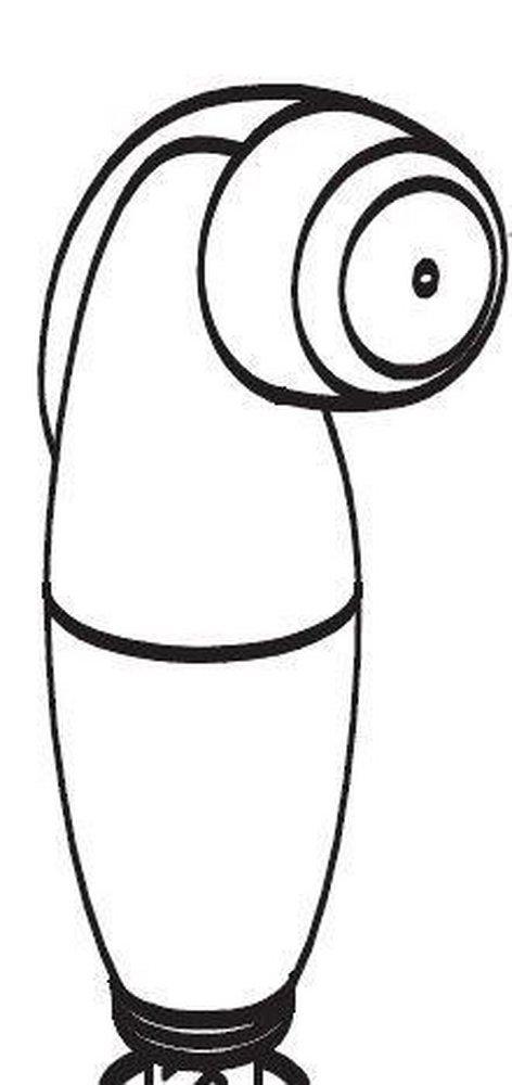 Moen Glacier Hose and Spray Assembly 