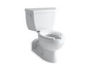 1.0 gpf Elongated Two Piece Toilet in White