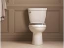 KOHLER White 1.6 gpf Elongated Toilet Bowl 