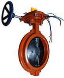 4 in. Ductile Iron Wafer EPDM Handwheel Butterfly Valve