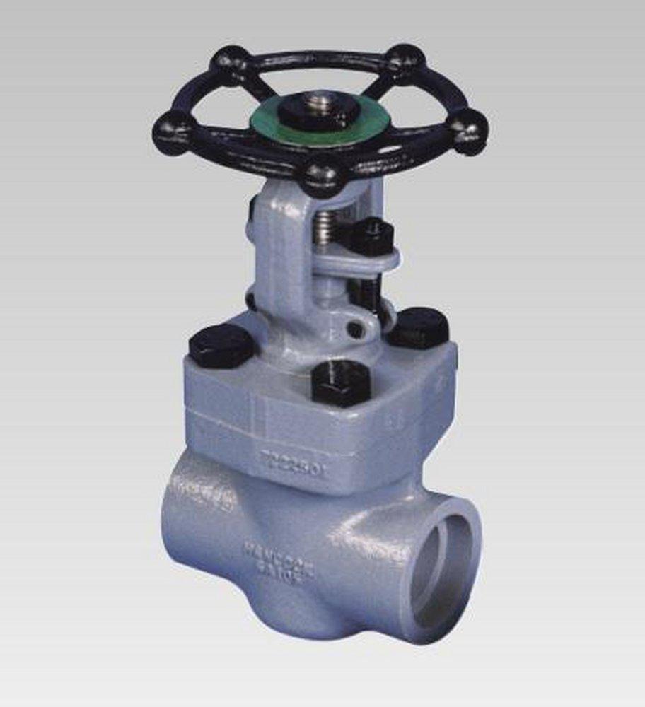 Hancock Valves Carbon Steel Socket Weld Globe Valve 