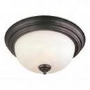 5-1/2 x 13-1/4 in. 60 W 2-Light Flush Mount Ceiling Fixture in Painted Bronze