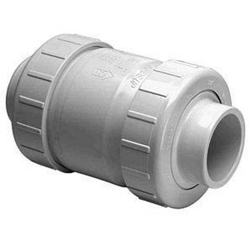 Clear Plastic Socket Weld Swing Check Valve 