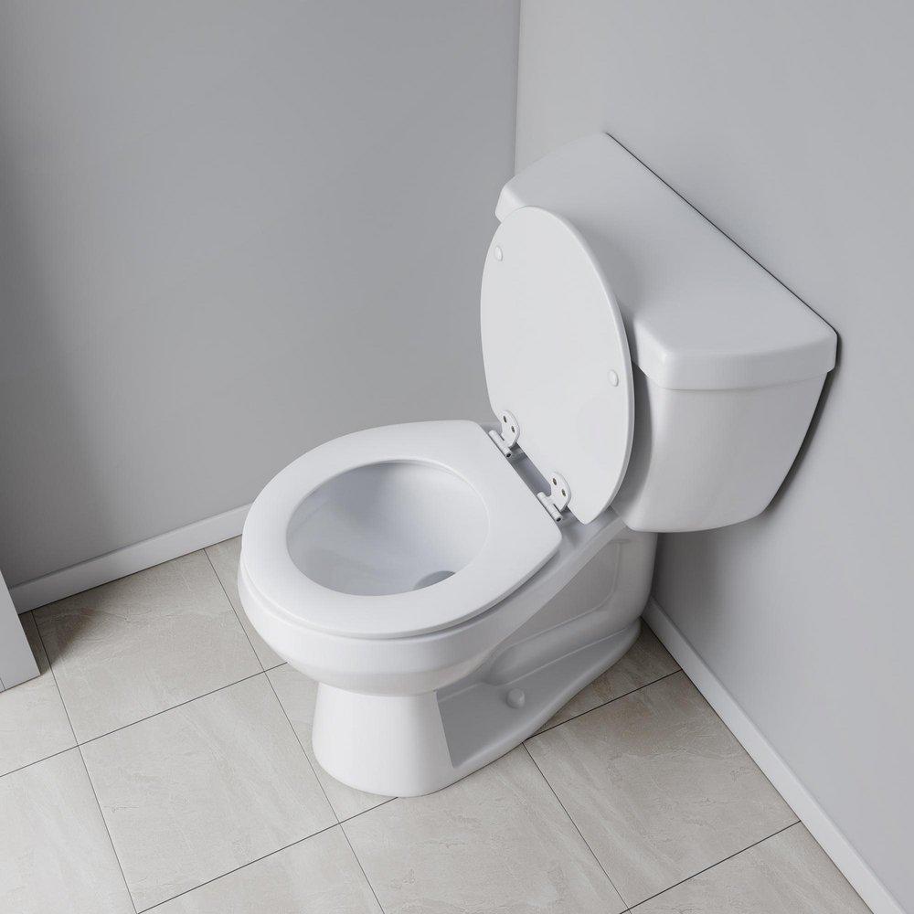 Jones Stephens White Round Closed Front with Cover Toilet Seat 