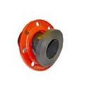 200 psi Ductile Iron Back-Up Ring 