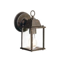 100 W 1-Light Outdoor Wall Lantern in Tannery Bronze