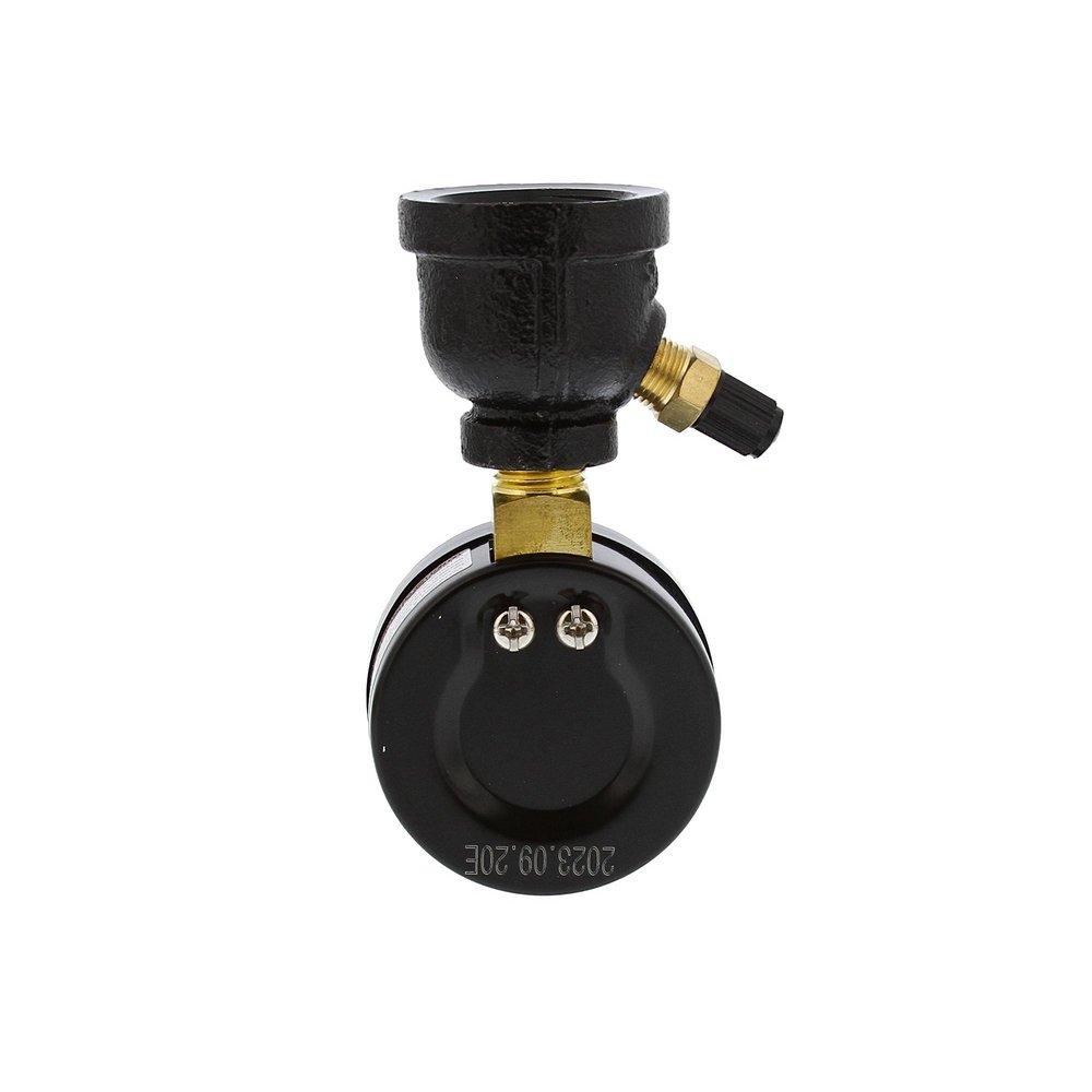 Jones Stephens 3/4 in. FIP 30# Gas Test Gauge Assembly 