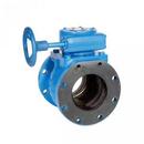 8 in. Cast Iron Flanged Gear Operator with Handwheel Plug Valve