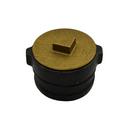 Jones Stephens No Hub Cast Iron Cleanout with Plug 
