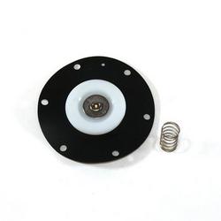 6 in. Diaphragm Kit