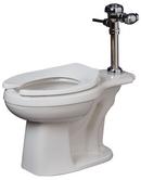 17-1/8 in. Elongated  Flush Valve Toilet Bowl in White