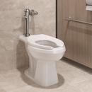 PROFLO® White 17-1/8 in. Elongated  Flush Valve Toilet Bowl 