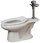 14-3/8 in. Elongated Flush Valve Toilet Bowl in White