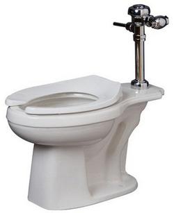 Elongated Flush Valve Toilet Bowl in White
