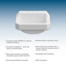 PROFLO&reg; White Wall Mount Basin 