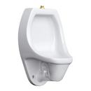 PROFLO® White 1 gpf 1/4 Stall Siphon Jet Urinal with 3/4 Top Spud (Hanging Brackets Included) 
